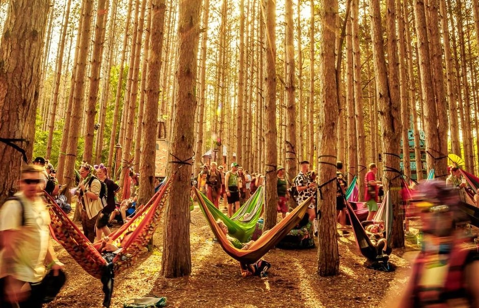 Electric Forrest 1