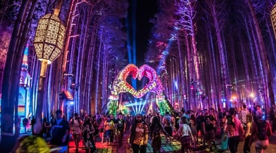 FESTIVAL NEWS & UPDATES (JUNE 2026):&nbsp;Get to Know Electric Forest & Grassfire Festivals