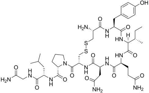 Oxytocin Chemical