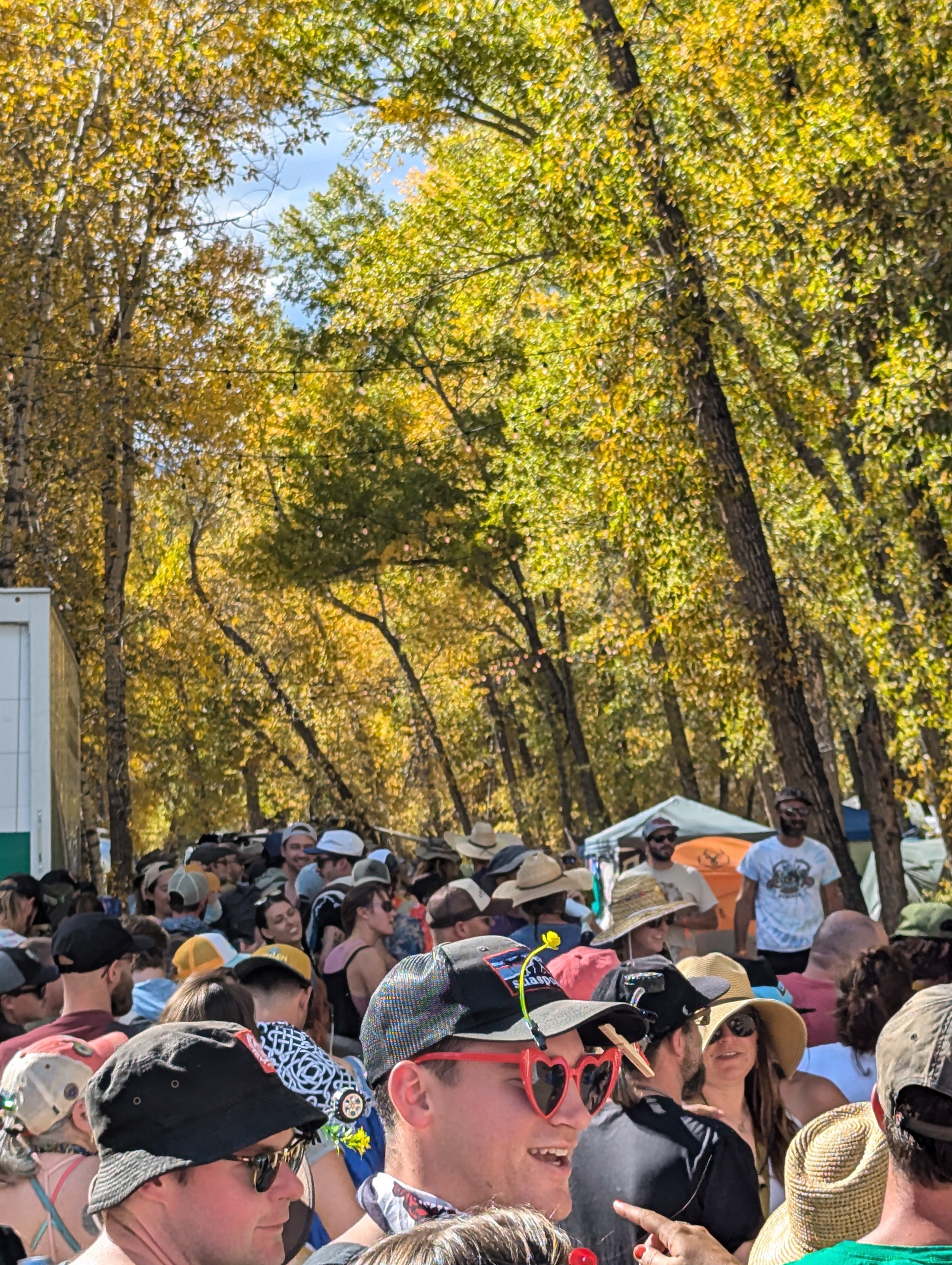 Billy Strings Renewal Cottonwood Meadows CO