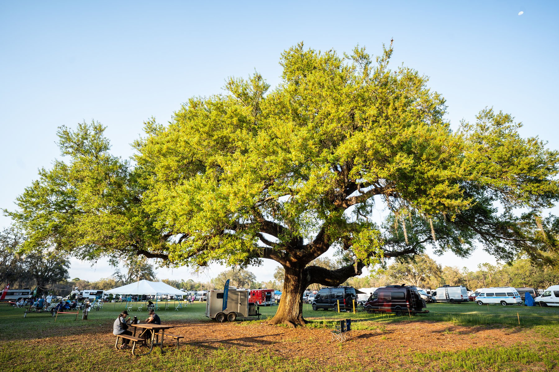 PeaceLoveVansFestival-Florida-2025-36