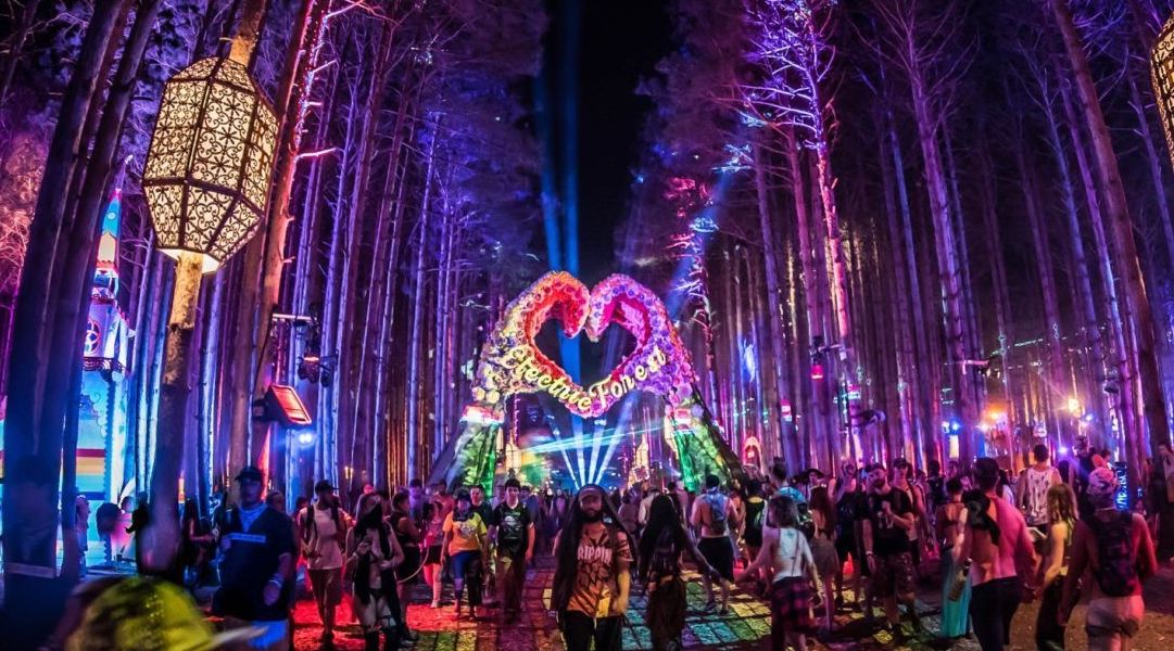 FESTIVAL NEWS & UPDATES (JUNE 2026): Get to Know Electric Forest & Grassfire Festivals